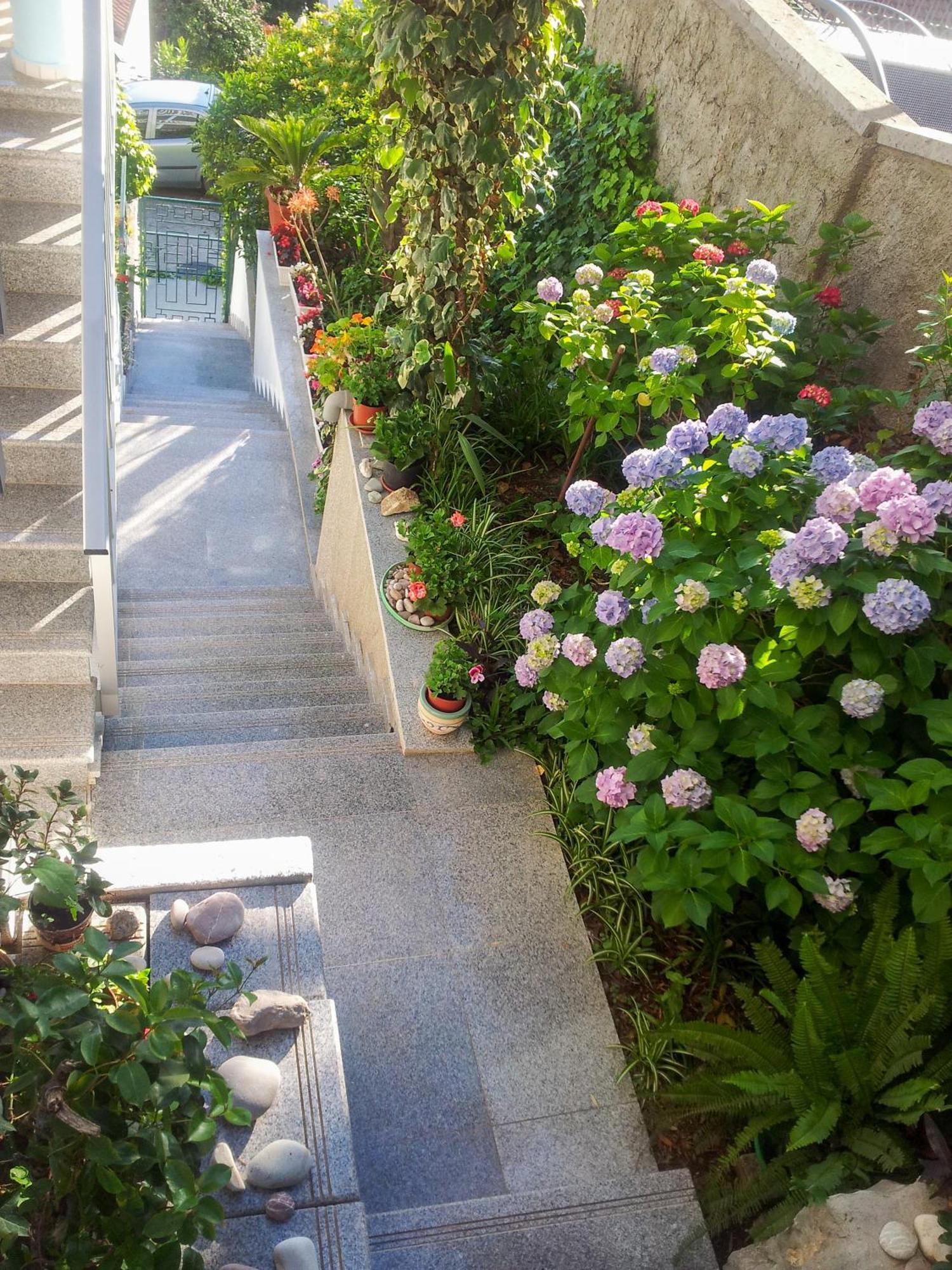 Panorama Apartments Budva Extérieur photo